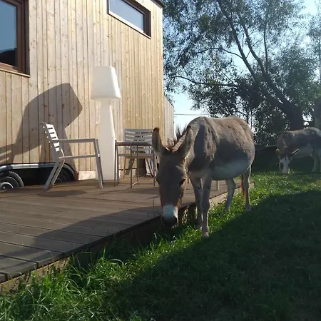 Tiny House Wolne Emocje